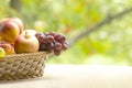 Fresh ripe apples, peaches, green and blue grapes in basket. Healthy food on table on defocus autumn background