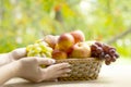 Fresh ripe apples, peaches, green and blue grapes in basket. Healthy food on table on defocus autumn background