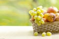 Fresh ripe apples, peaches, green and blue grapes in basket. Healthy food on table on defocus autumn background