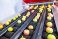 The fresh ripe apples rolling on the modern automatic robotic cl Royalty Free Stock Photo