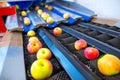 The fresh ripe apples rolling on the modern automatic robotic cl Royalty Free Stock Photo