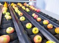 The fresh ripe apples rolling on the modern automatic robotic cl Royalty Free Stock Photo