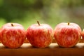 Fresh ripe apples on wooden windowsill close up photo Royalty Free Stock Photo