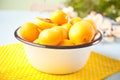 Fresh ripe apricot in a bowl. Summer Harvest concept