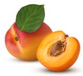 Fresh ripe apricot with leaf, one cut in half with bone Royalty Free Stock Photo