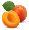 Fresh ripe apricot, one cut in half with leaf Royalty Free Stock Photo