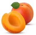 Fresh ripe apricot, one cut in half with leaf Royalty Free Stock Photo