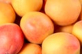 Fresh ripe apricots Royalty Free Stock Photo