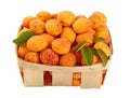 Fresh ripe apricots in wooden basket over white Royalty Free Stock Photo