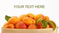Fresh ripe apricots in wooden basket over white Royalty Free Stock Photo