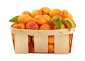 Fresh ripe apricots in wooden basket over white Royalty Free Stock Photo