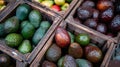 Fresh ripe avocados in wooden crates at local market with assorted fruits for fresh produce concept