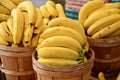 Bananas Royalty Free Stock Photo