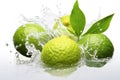 Fresh ripe bergamot fruits and splashing water