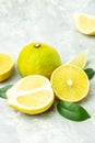 Fresh ripe bergamot orange fruits, fragrant citrus used in earl grey tea, medicine and spa treatments, close up Royalty Free Stock Photo