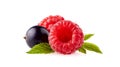 Fresh ripe berry in closeup