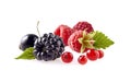 Fresh ripe berry in closeup. Raspberry, blackberry and currant berries isolated