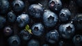 Fresh ripe bilberries with water drops background. Berries backdrop. Generative AI