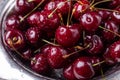 Fresh ripe black cherries in a metal bowl on a grey wooden background Close up Royalty Free Stock Photo