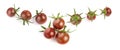 Fresh ripe black cherries tomato with green peduncle