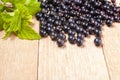 Fresh ripe black currants heap on wooden background. Natural organic berries with green leaves scattered on weathered wooden table Royalty Free Stock Photo