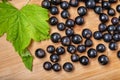 Fresh ripe black currants heap on wooden background. Natural organic berries with green leaves scattered on weathered wooden table Royalty Free Stock Photo