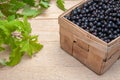 Fresh ripe black currants heap on wooden background. Natural organic berries with green leaves scattered on weathered wooden table Royalty Free Stock Photo