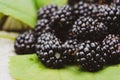 Fresh ripe blackberries close-up. Blackberry texture. Healthy summer berries. Healthy vegetarian food Royalty Free Stock Photo