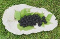 Fresh ripe blackberries close-up. Blackberry texture. Healthy summer berries. Healthy vegetarian food Royalty Free Stock Photo