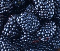 Fresh Ripe Blackberries, close up Royalty Free Stock Photo