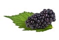 Fresh ripe blackberries and green leaf isolated on a white background Royalty Free Stock Photo