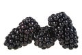Fresh ripe blackberries isolated on a white background Royalty Free Stock Photo