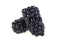 Fresh ripe blackberries isolated on white background Royalty Free Stock Photo