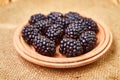 Fresh ripe blackberries in  wooden plate on rustic table Royalty Free Stock Photo