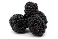 Fresh ripe blackberry isolated on white background Royalty Free Stock Photo