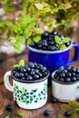 Fresh ripe bluberries bilberries in enamel mugs Royalty Free Stock Photo