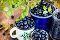 Fresh ripe bluberries bilberries in enamel mugs Royalty Free Stock Photo