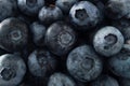 Fresh ripe blueberries background. Texture blueberry berries, de