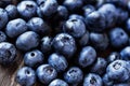 Fresh ripe blueberries berries Royalty Free Stock Photo