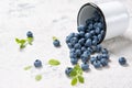 Fresh ripe blueberries in enamelled cup, stone table background