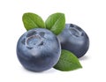 Fresh ripe blueberries with green leaves isolated on white Royalty Free Stock Photo