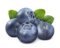 Fresh ripe blueberries with green leaves isolated on white Royalty Free Stock Photo