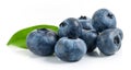 fresh ripe blueberries Royalty Free Stock Photo