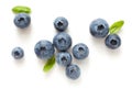 Fresh ripe blueberries Royalty Free Stock Photo