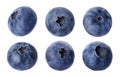 Fresh ripe blueberries isolated on white, set Royalty Free Stock Photo
