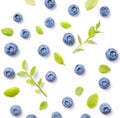 Fresh blueberries and leaves, berry ornament pattern on white background, closeup, top view