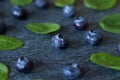 Fresh ripe blueberries with organic baby spinach leave on grey granite background Royalty Free Stock Photo