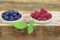 Fresh ripe blueberries and raspberries in two bowls. Royalty Free Stock Photo