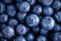 Fresh, ripe blueberries Royalty Free Stock Photo