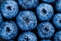 Fresh ripe blueberries with water drops. Macro photo. Berry background.